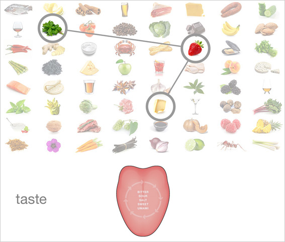O olfato é o mais perceptível dos sentidos O-olfato-e-o-mais-perceptivel-dos-sentidos