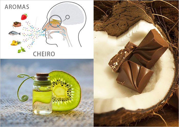 A importância do cheiro e o aroma A importancia do cheiro e o aroma