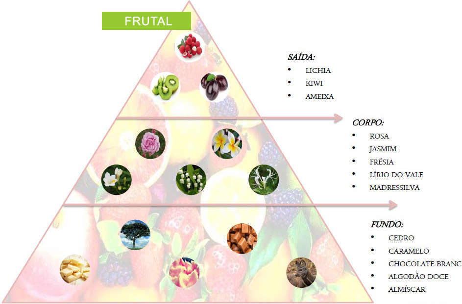 Família Olfativa Familia Olfativa