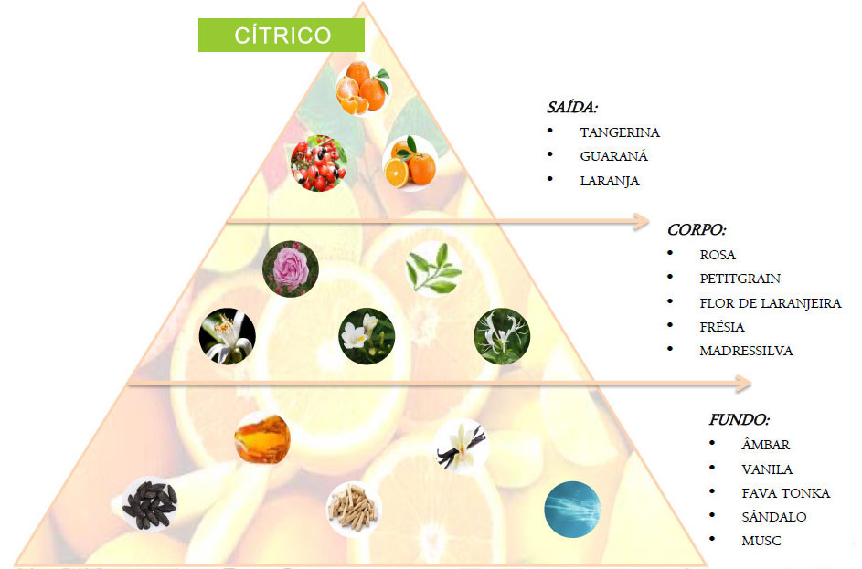 Família Olfativa Familia Olfativa