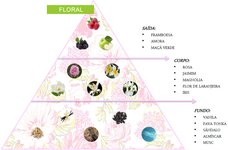 Família Olfativa Familia Olfativa