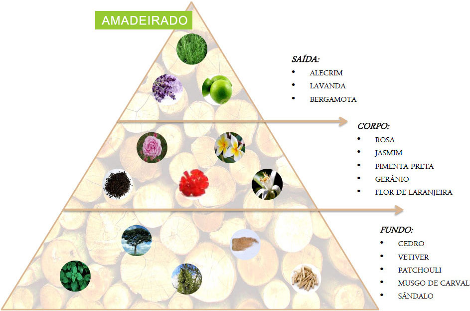 Família Olfativa Familia Olfativa